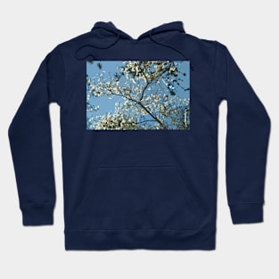 White Dogwood Hoodie